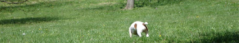 F-r-e-e live fun enjoy stay homosexual sex shows No charge header image 2 F-r-e-e live fun enjoy stay homosexual sex shows No charge header image 2